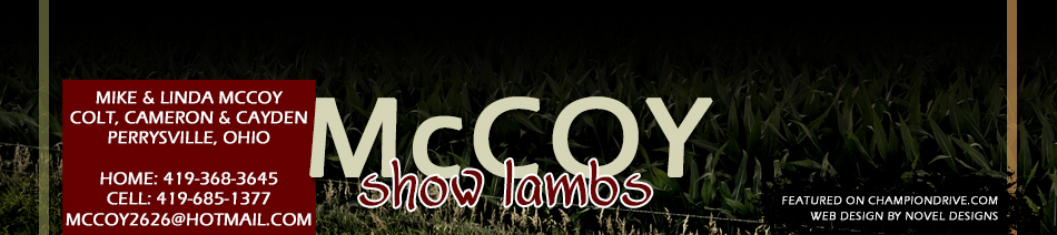McCoy Show Lambs